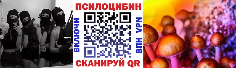 цена   Тейково  Псилоцибиновые грибы Cubensis 